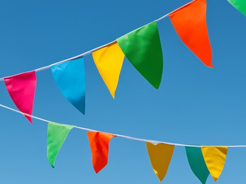 bunting