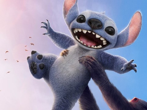 stitch